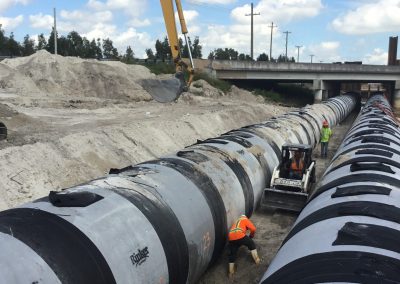 D Double Barrell I75c 1