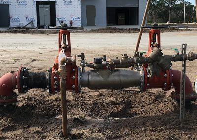 W backflow preventor