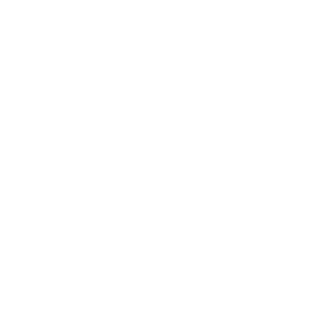 Force Main